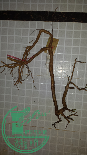 20160120_184742.jpg