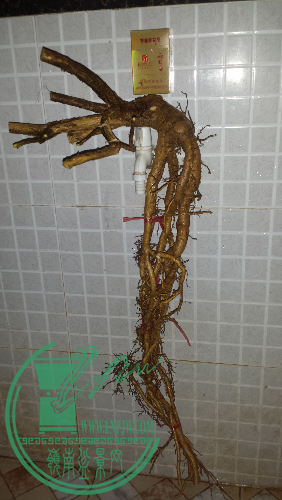 20160120_184157.jpg
