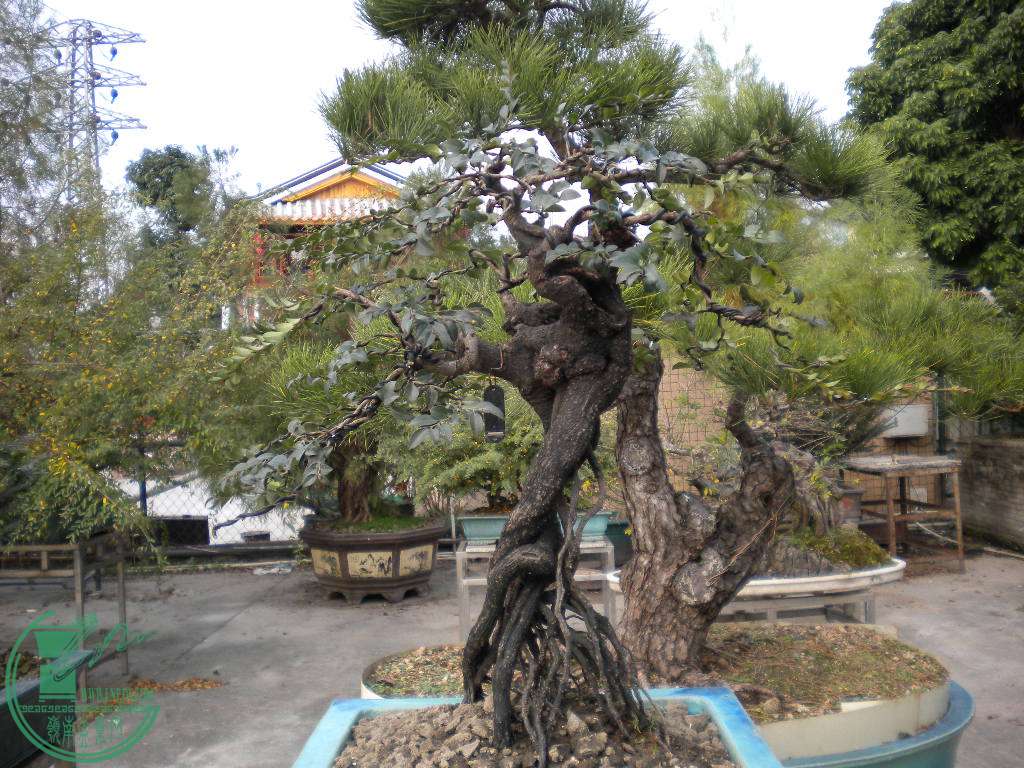 DSCN8640.JPG