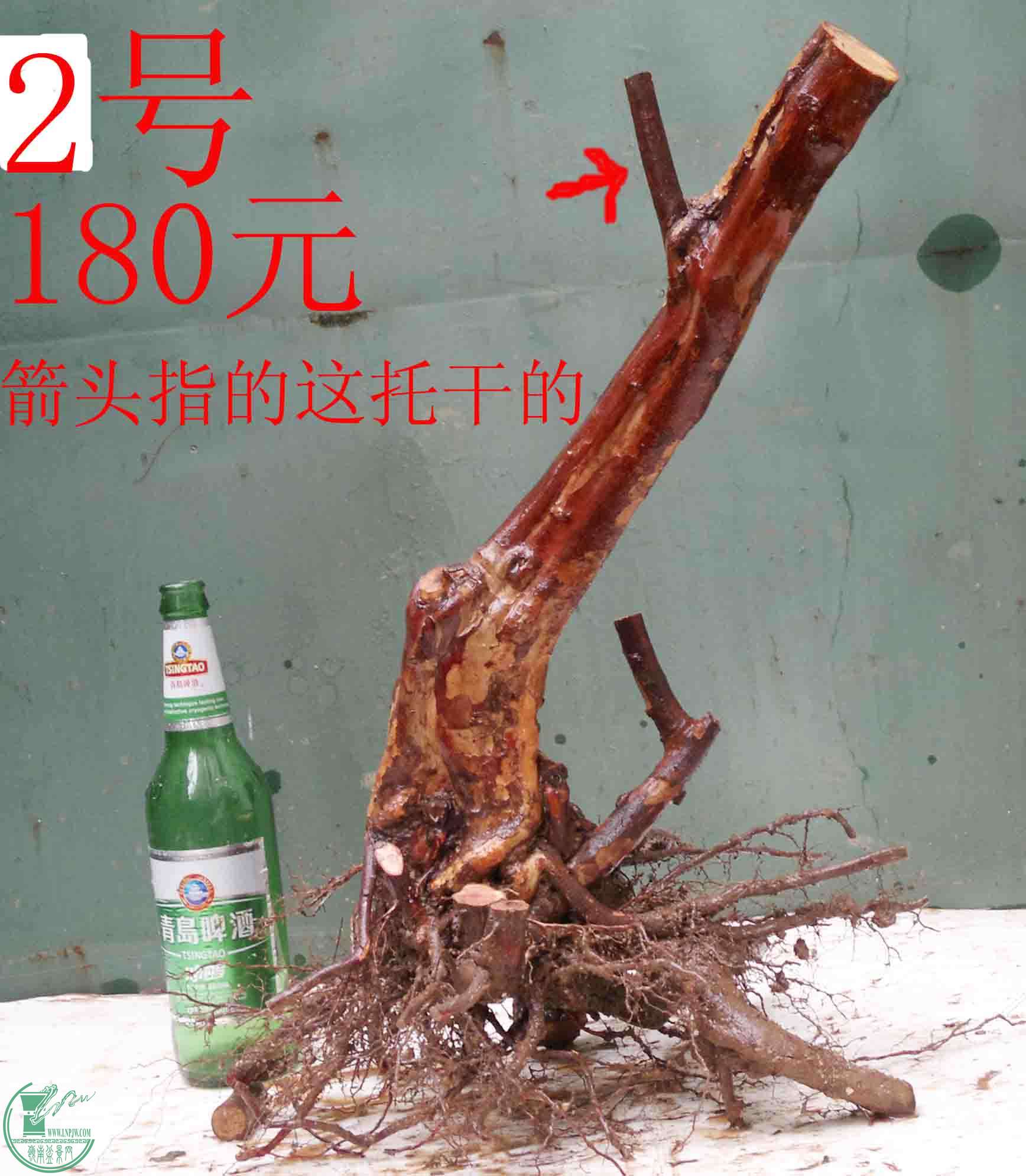 201601208473.jpg