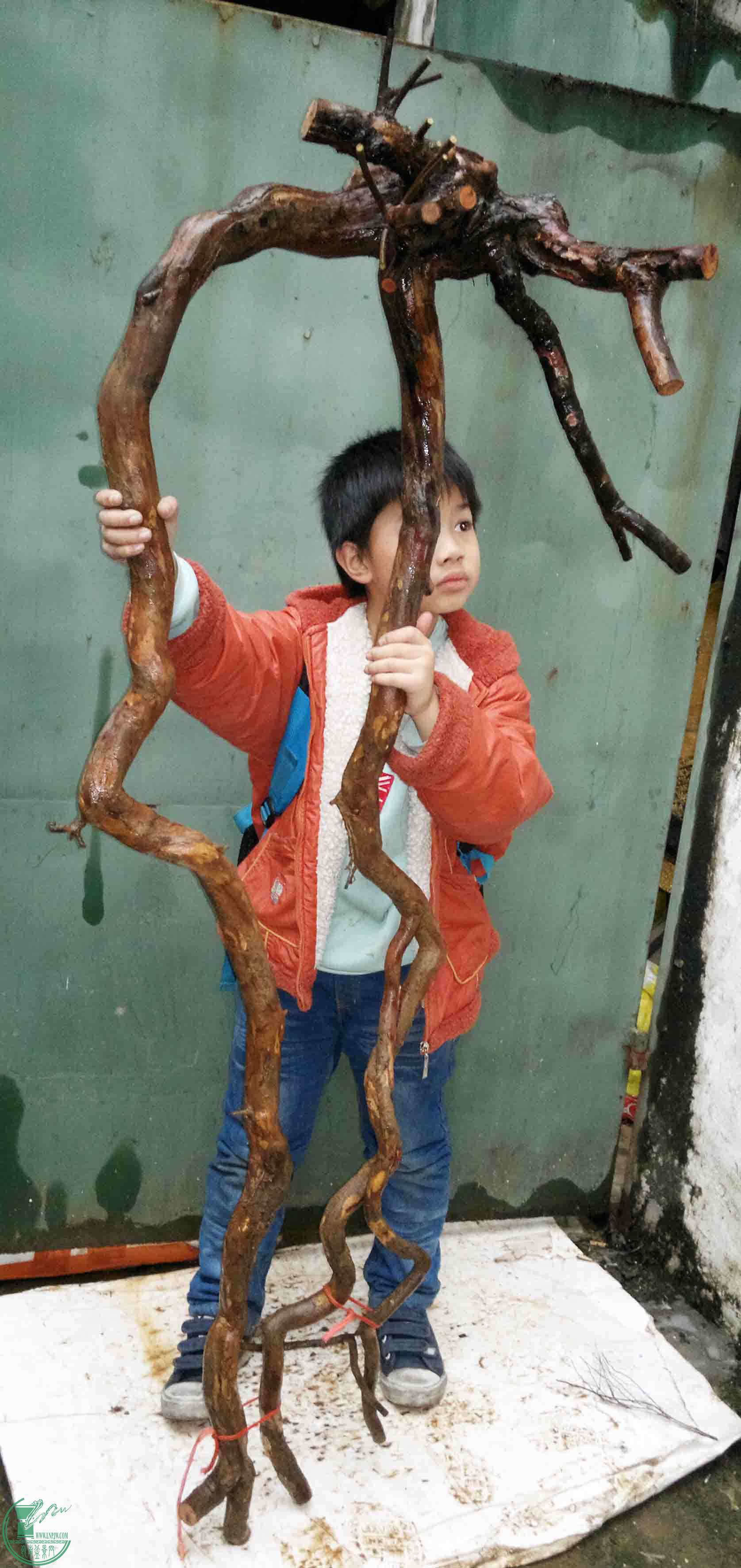 201601208602.jpg
