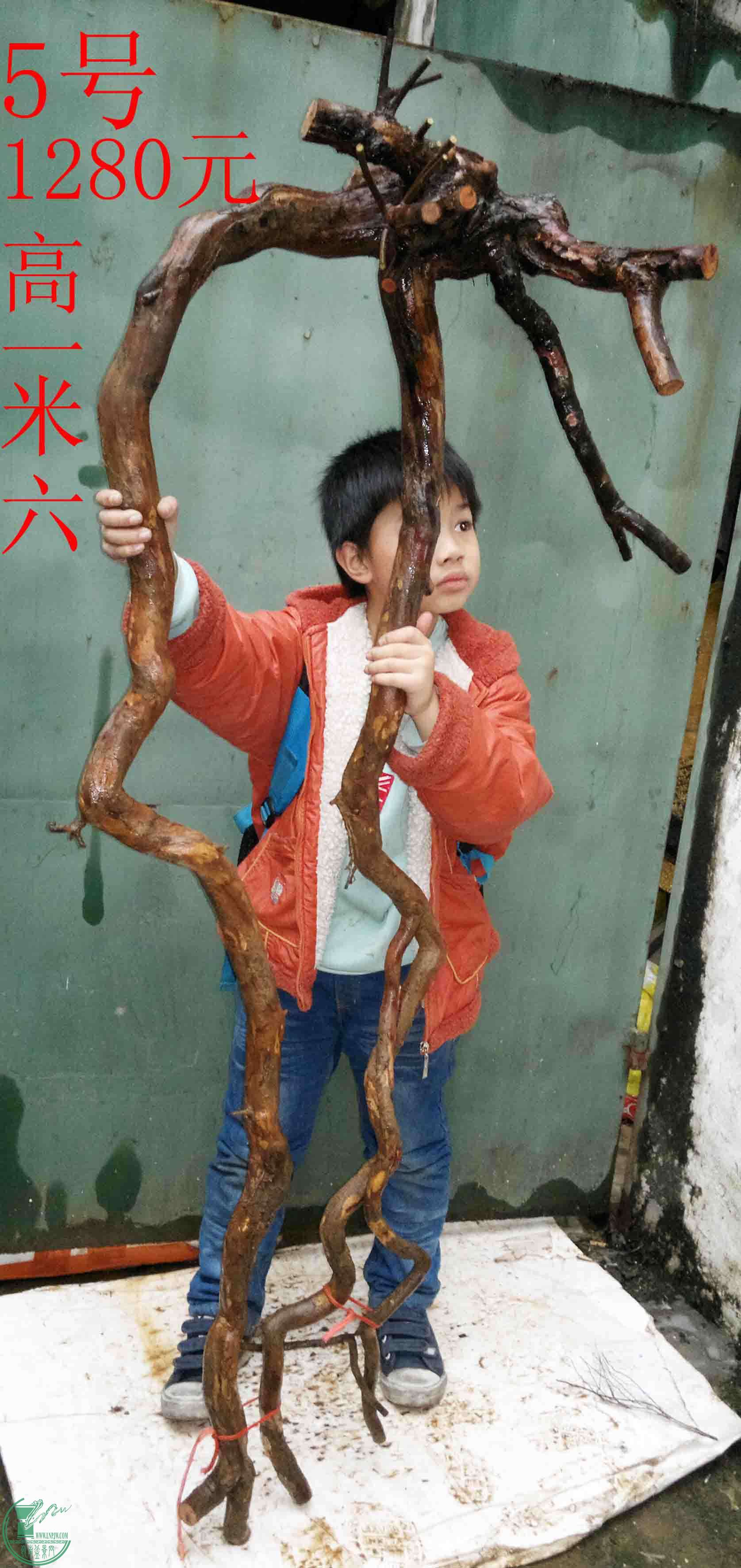 201601208603.jpg