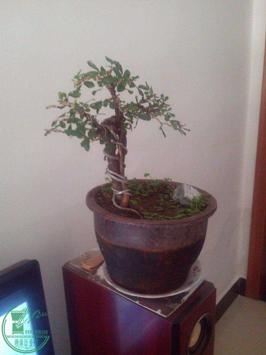 QQͼƬ20150618093501.JPG