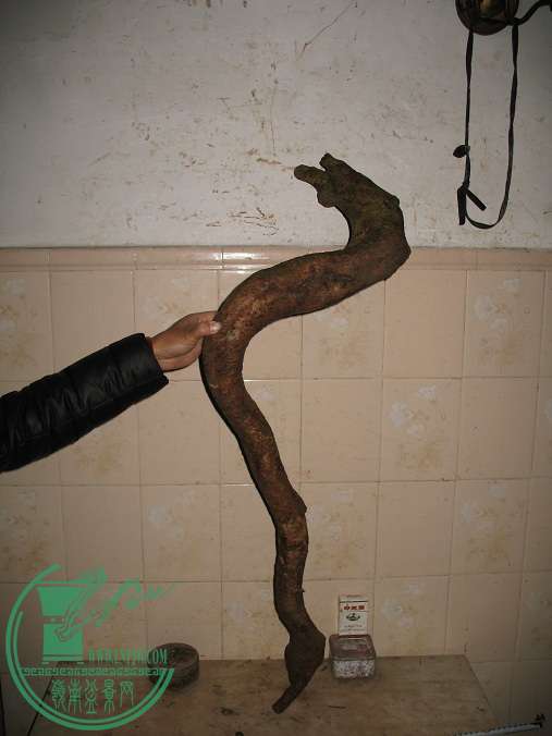 003.JPG