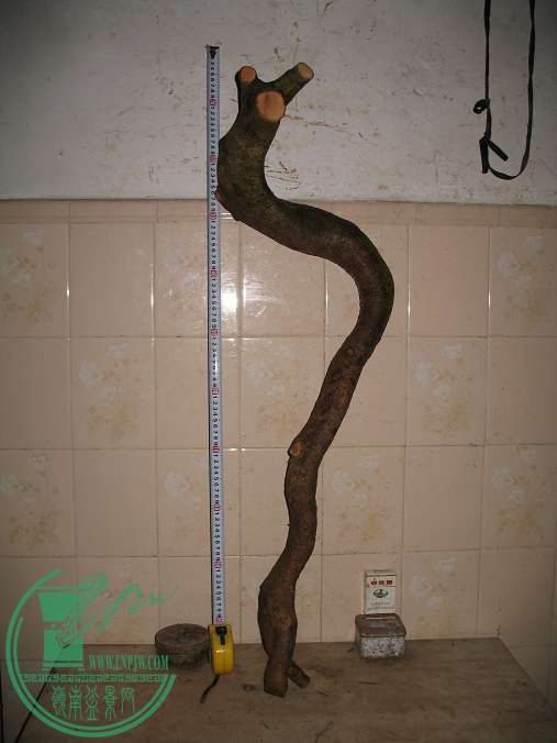 001.JPG