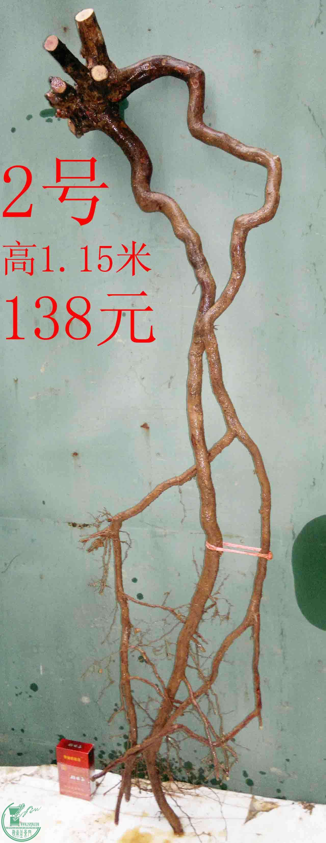 201601238641.jpg