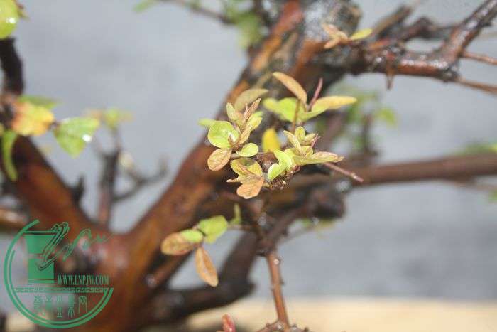 Ƭ20131026ۺ 703.jpg