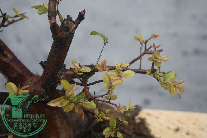 Ƭ20131026ۺ 708.jpg