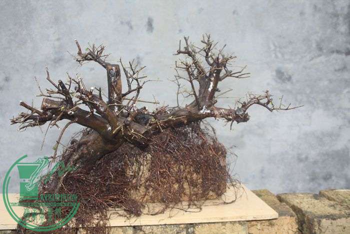 Ƭ20131026ۺ 694.jpg