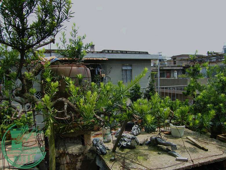 ޺2007.7.18a.jpg