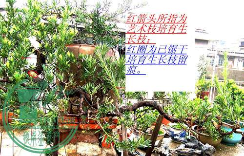 ֦2008.9.jpg