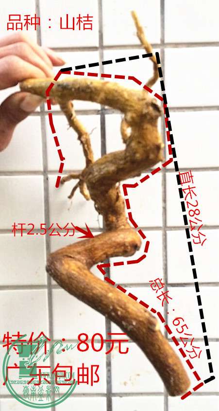 4_1.jpg