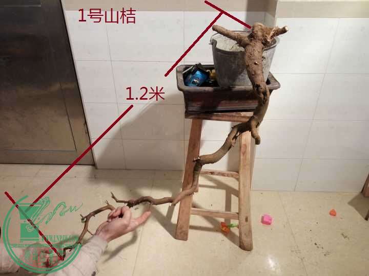 QQͼƬ20160125201712.jpg