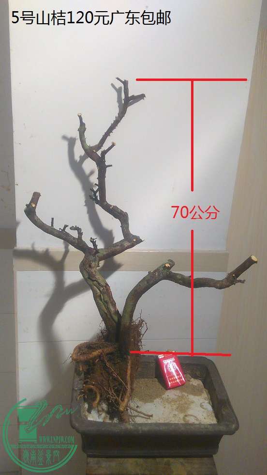 QQͼƬ20160125204813.jpg