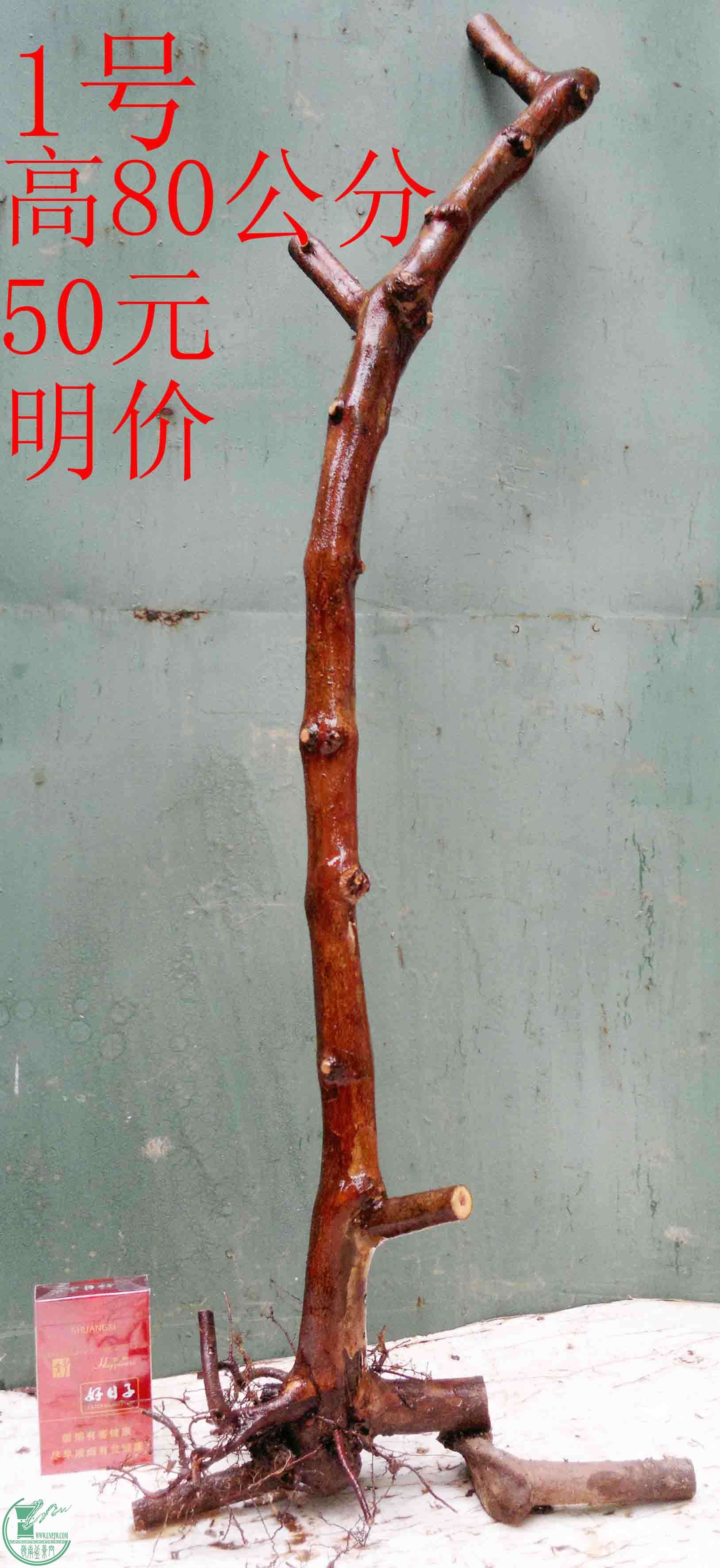 201601268739.jpg