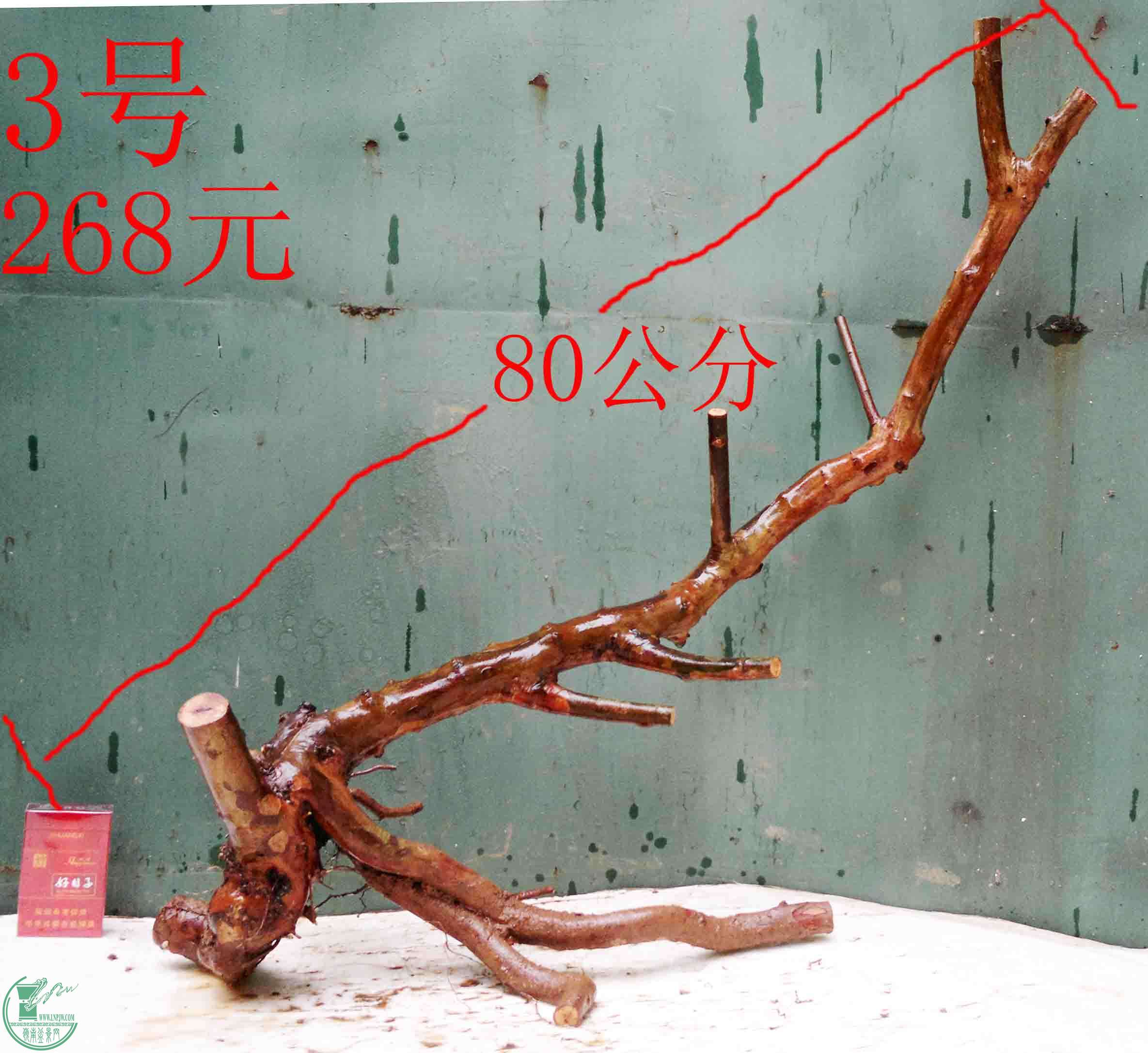 201601268760.jpg