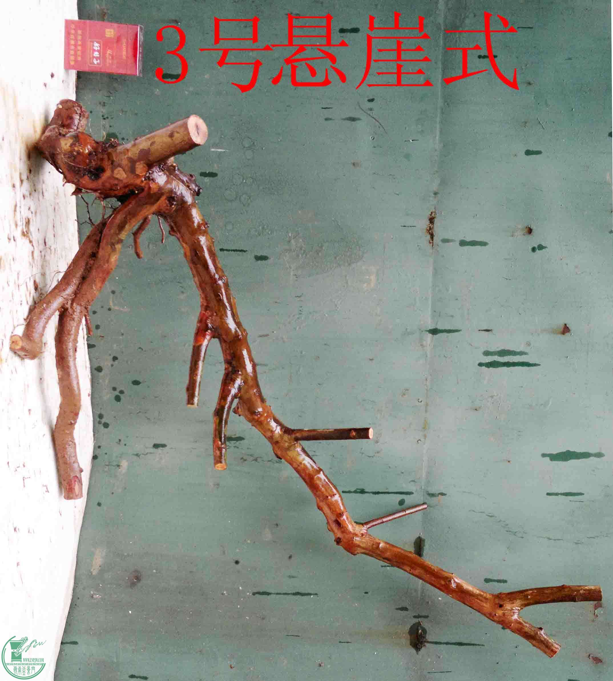201601268761.jpg