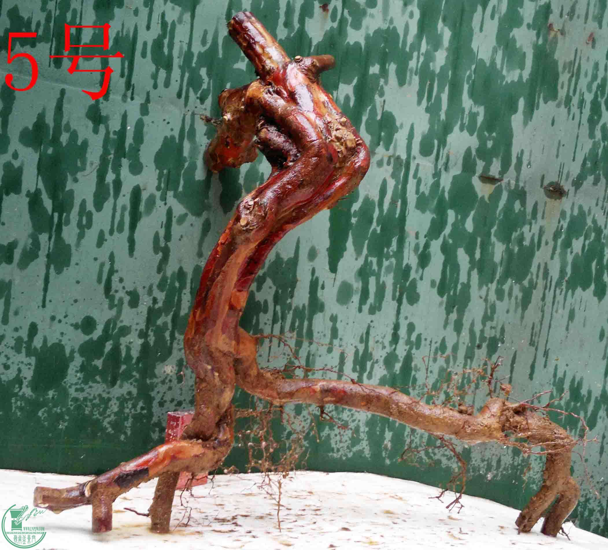 201601268804.jpg