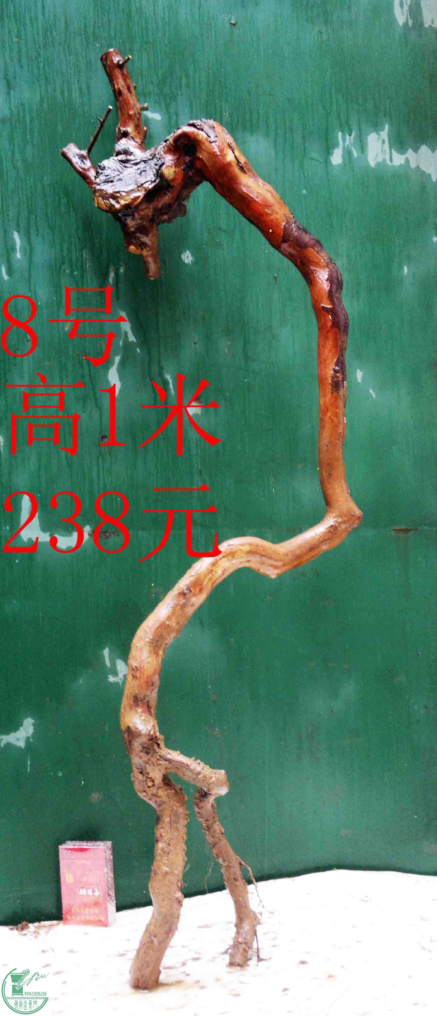 201601268853.jpg