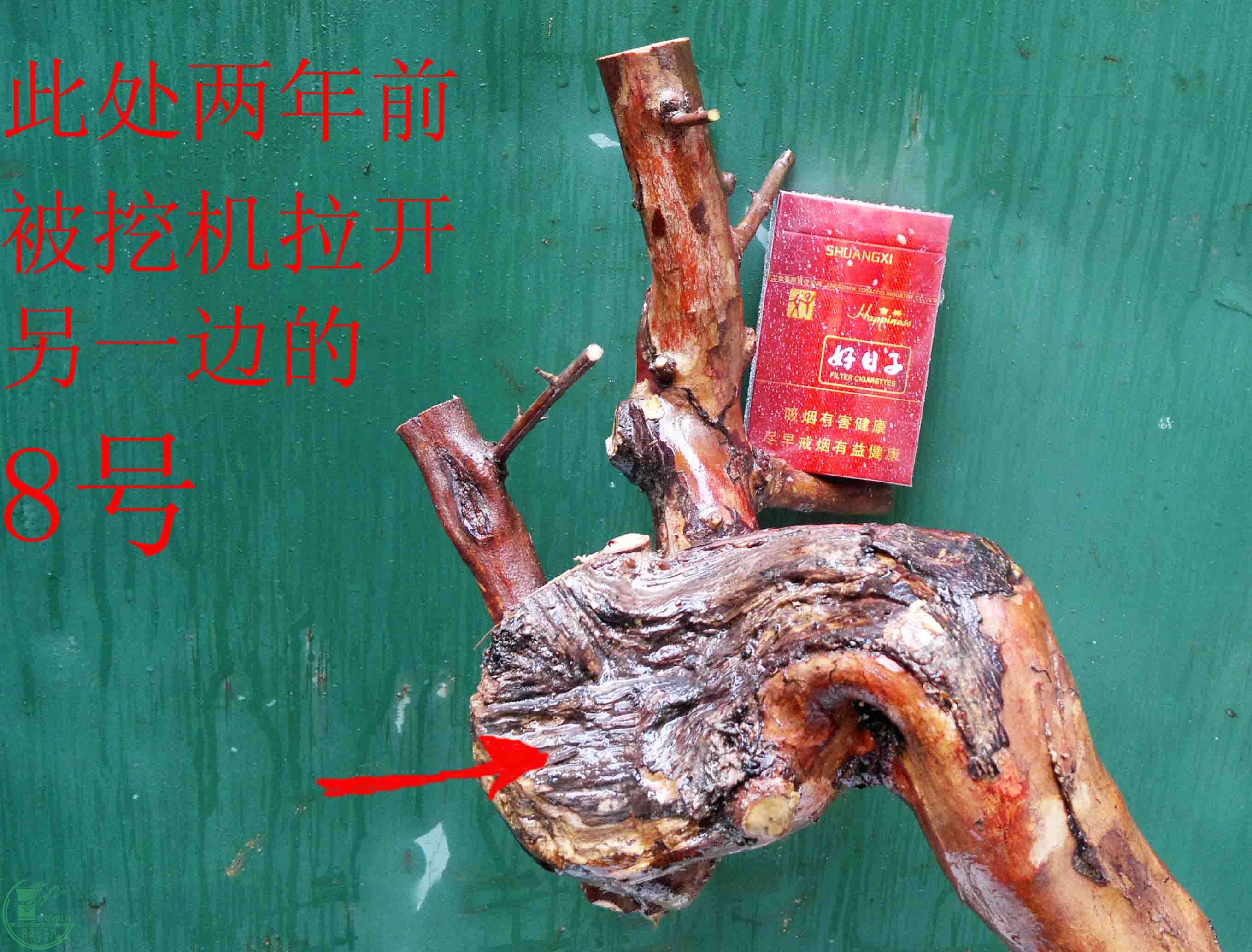 201601268869.jpg