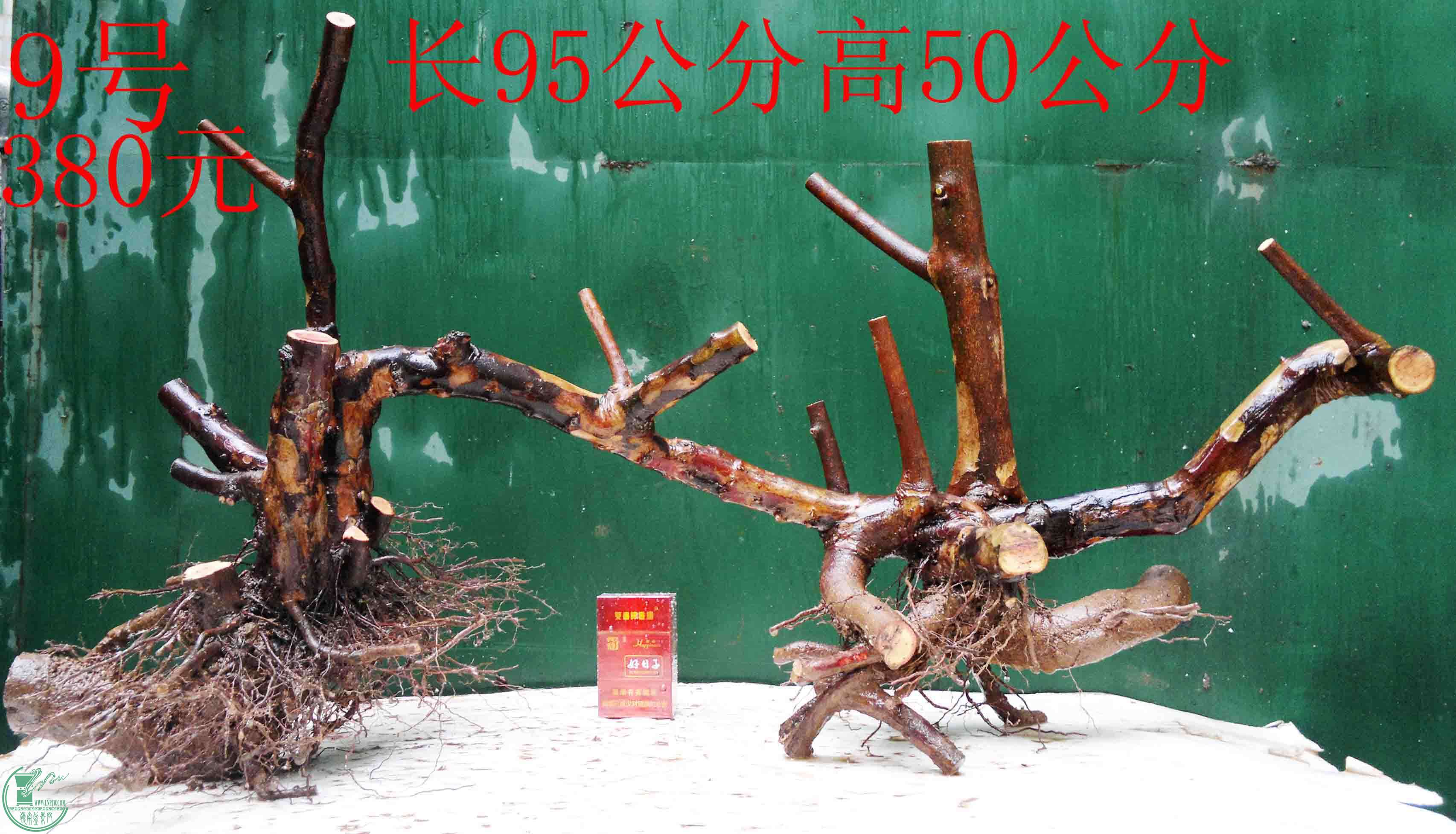 201601268876.jpg