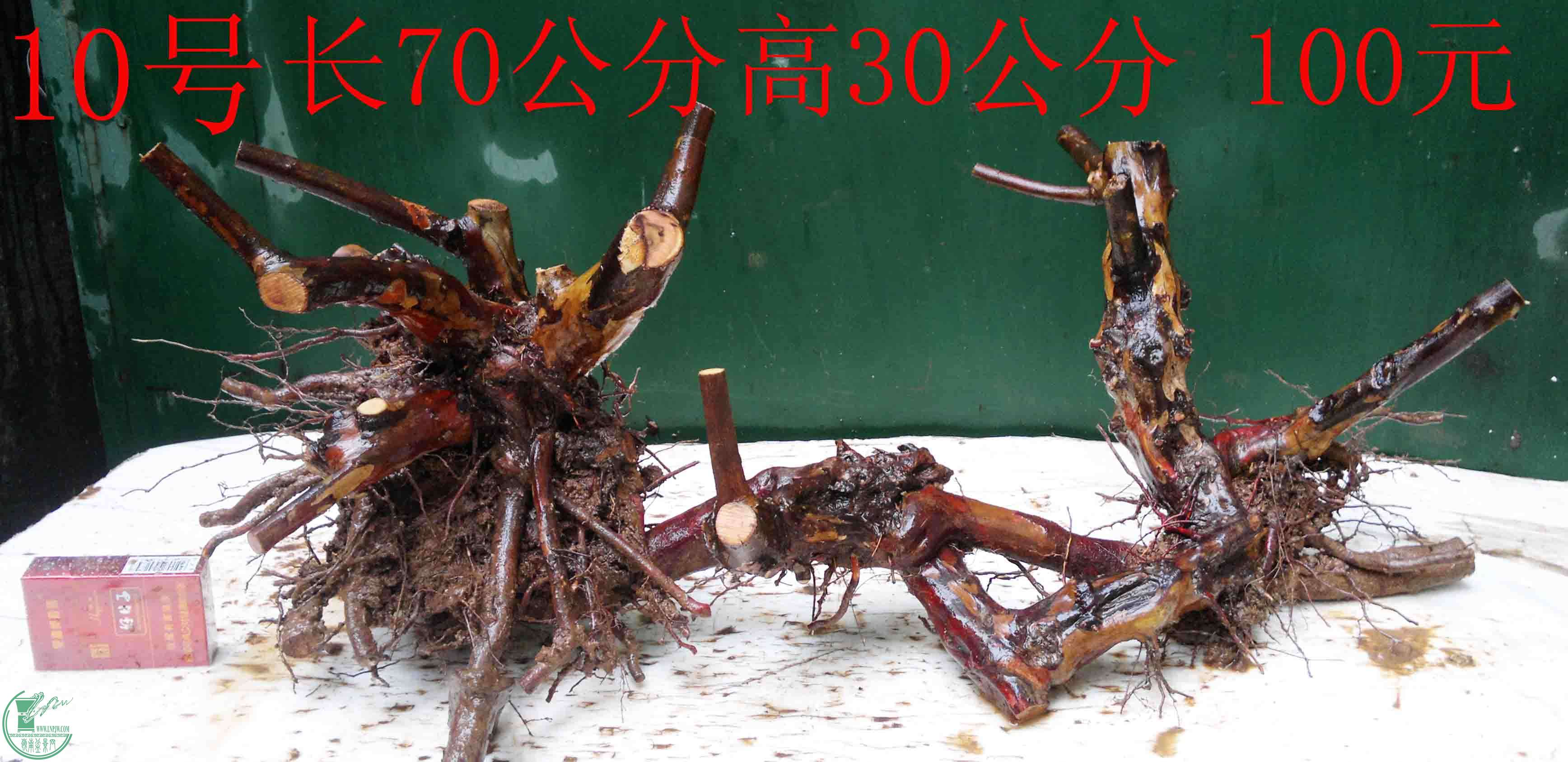 201601268916.jpg
