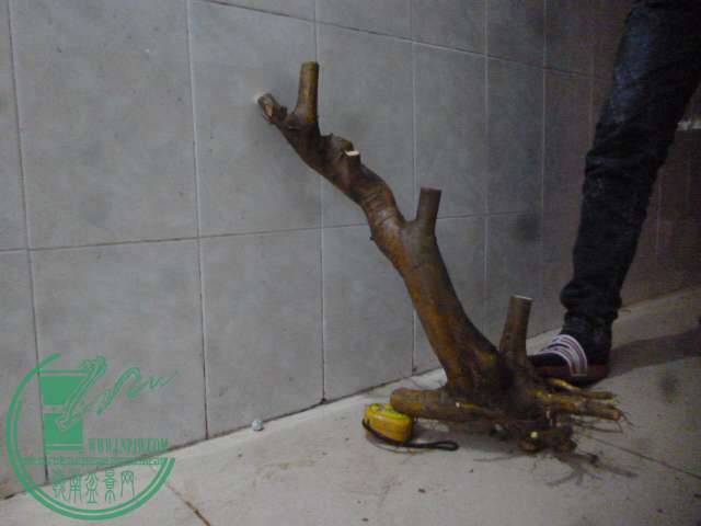 P1160254.JPG