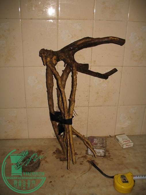 012.JPG
