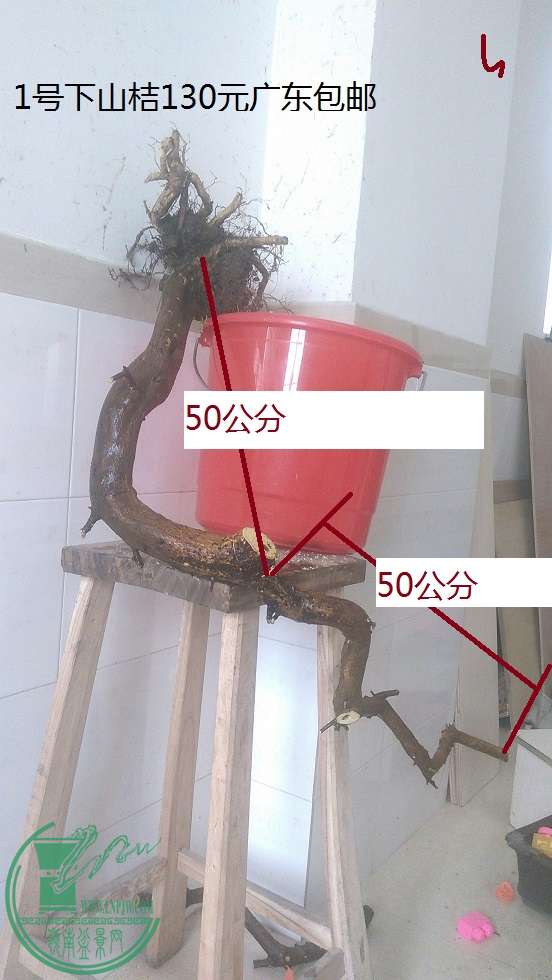 QQͼƬ20160126201908.jpg