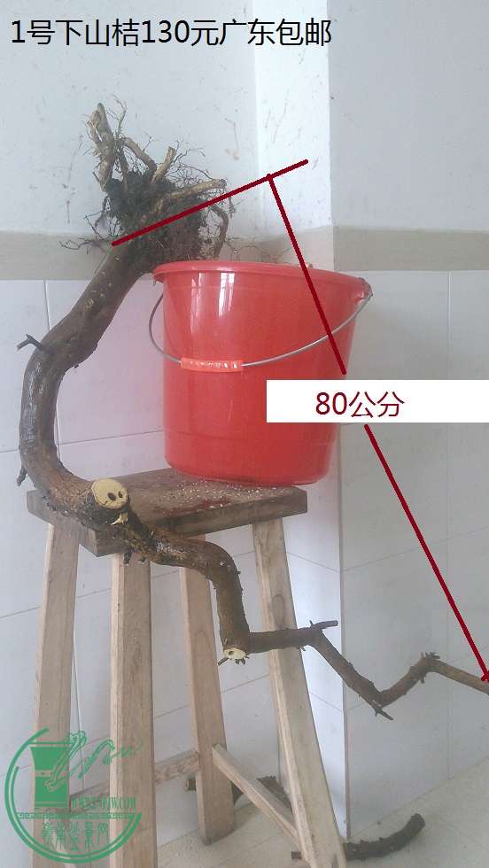 QQͼƬ20160126201916.jpg