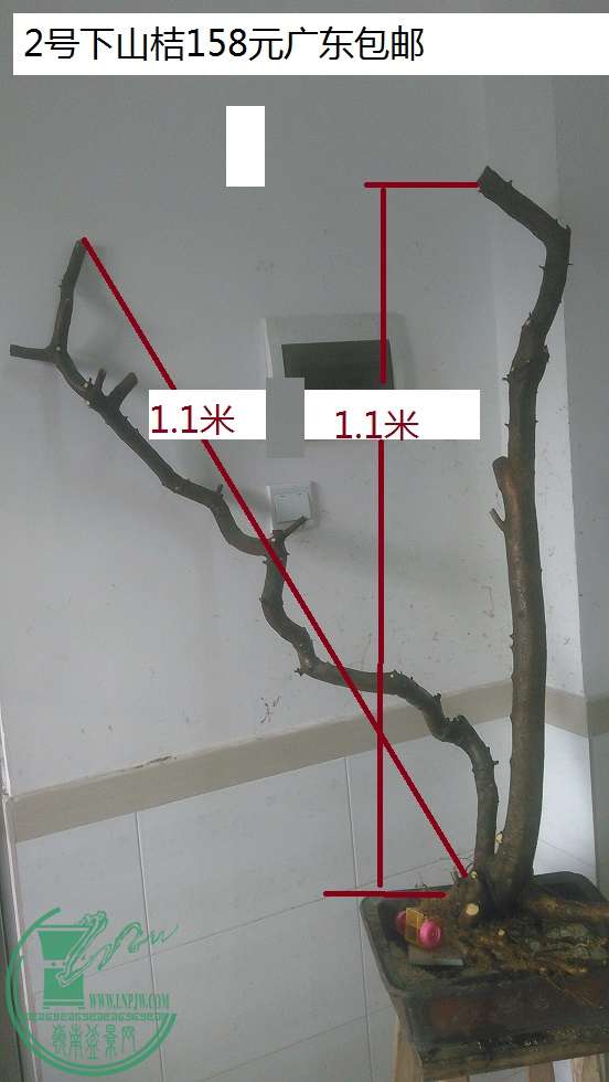 QQͼƬ20160126203416.jpg