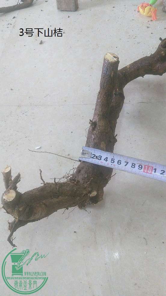 QQͼƬ20160126204647.jpg