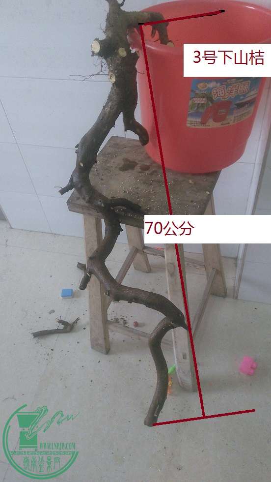 QQͼƬ20160126204728.jpg