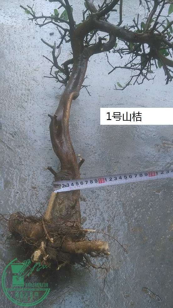 QQͼƬ20160127195925.jpg