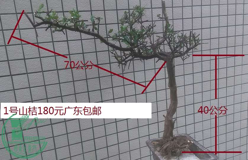QQͼƬ20160127195933.jpg