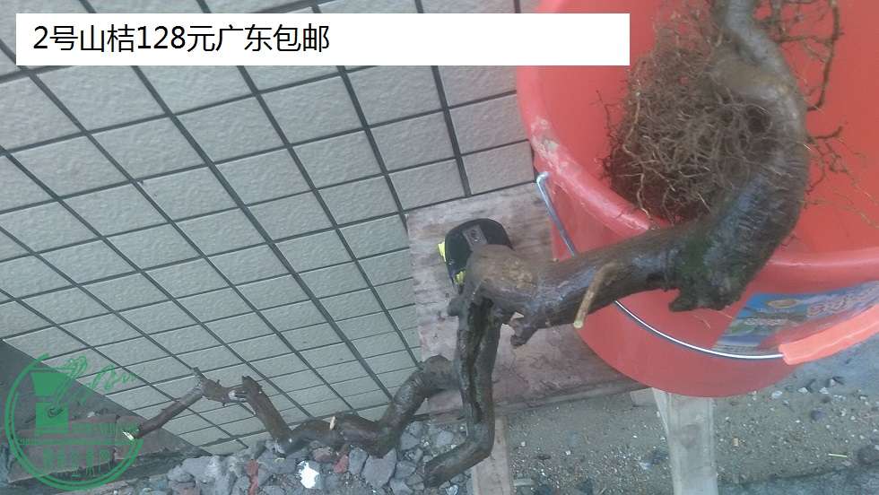 QQͼƬ20160127201946.jpg