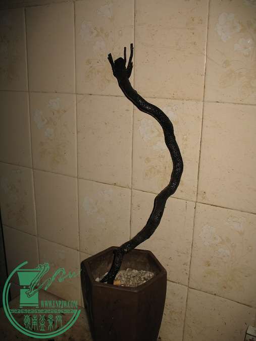 021.JPG