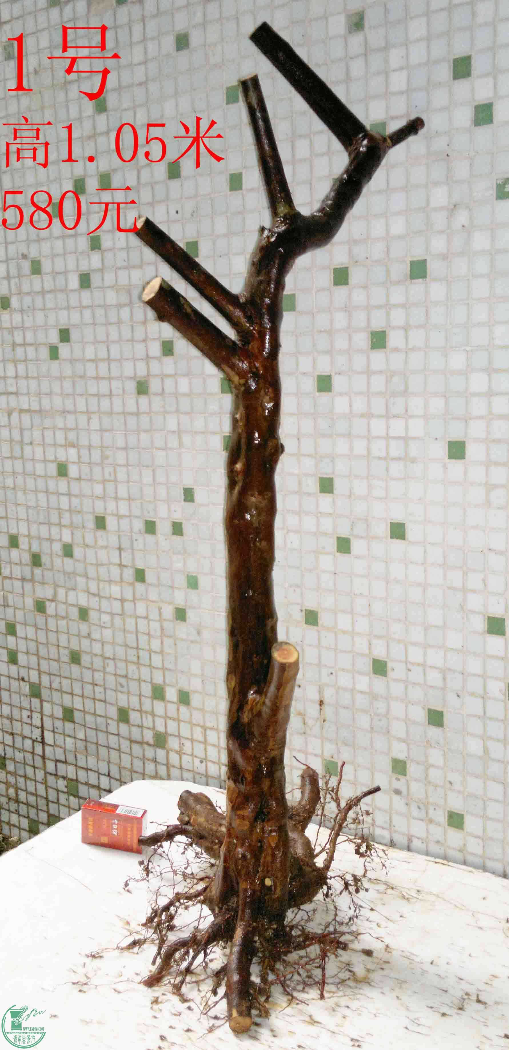 201601288935.jpg