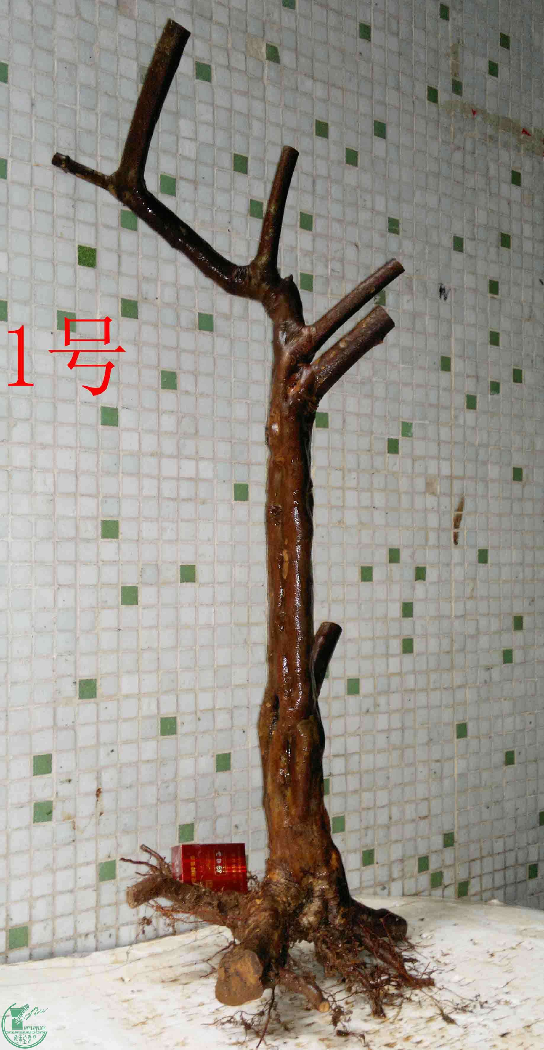 201601288958.jpg