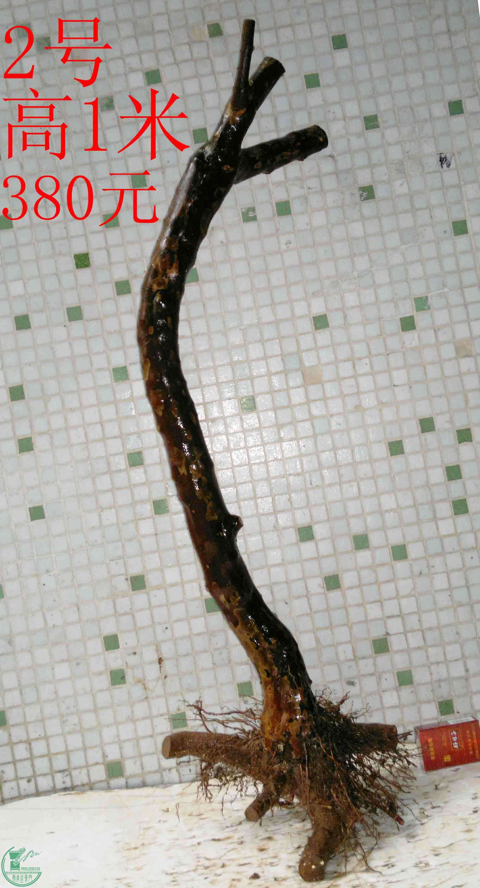 201601288969.jpg