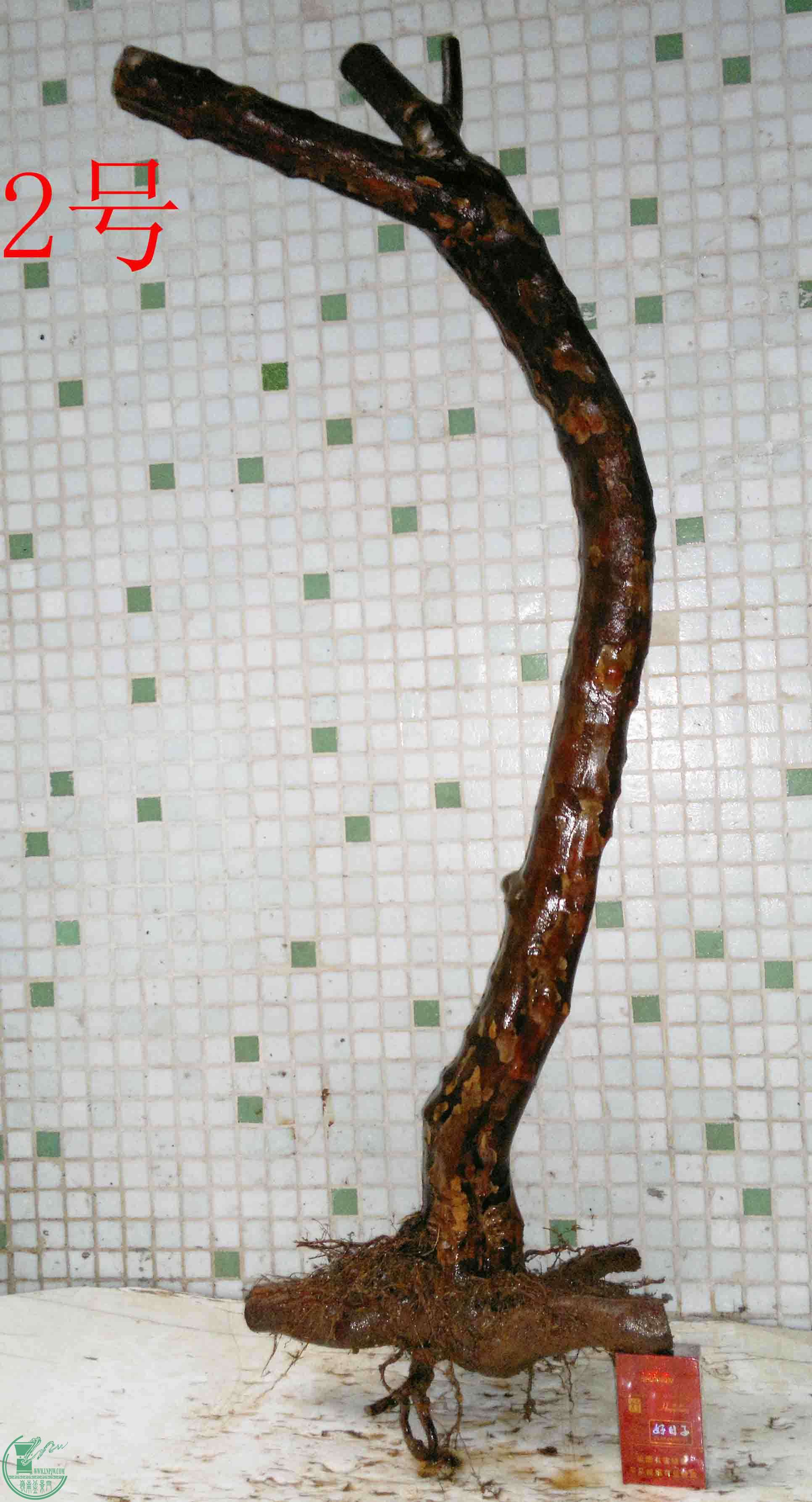 201601288998.jpg