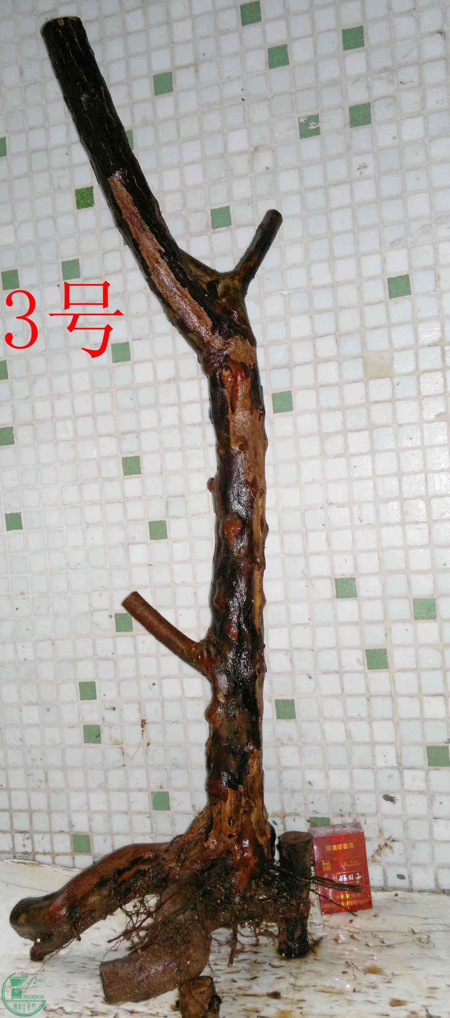 201601289034.jpg