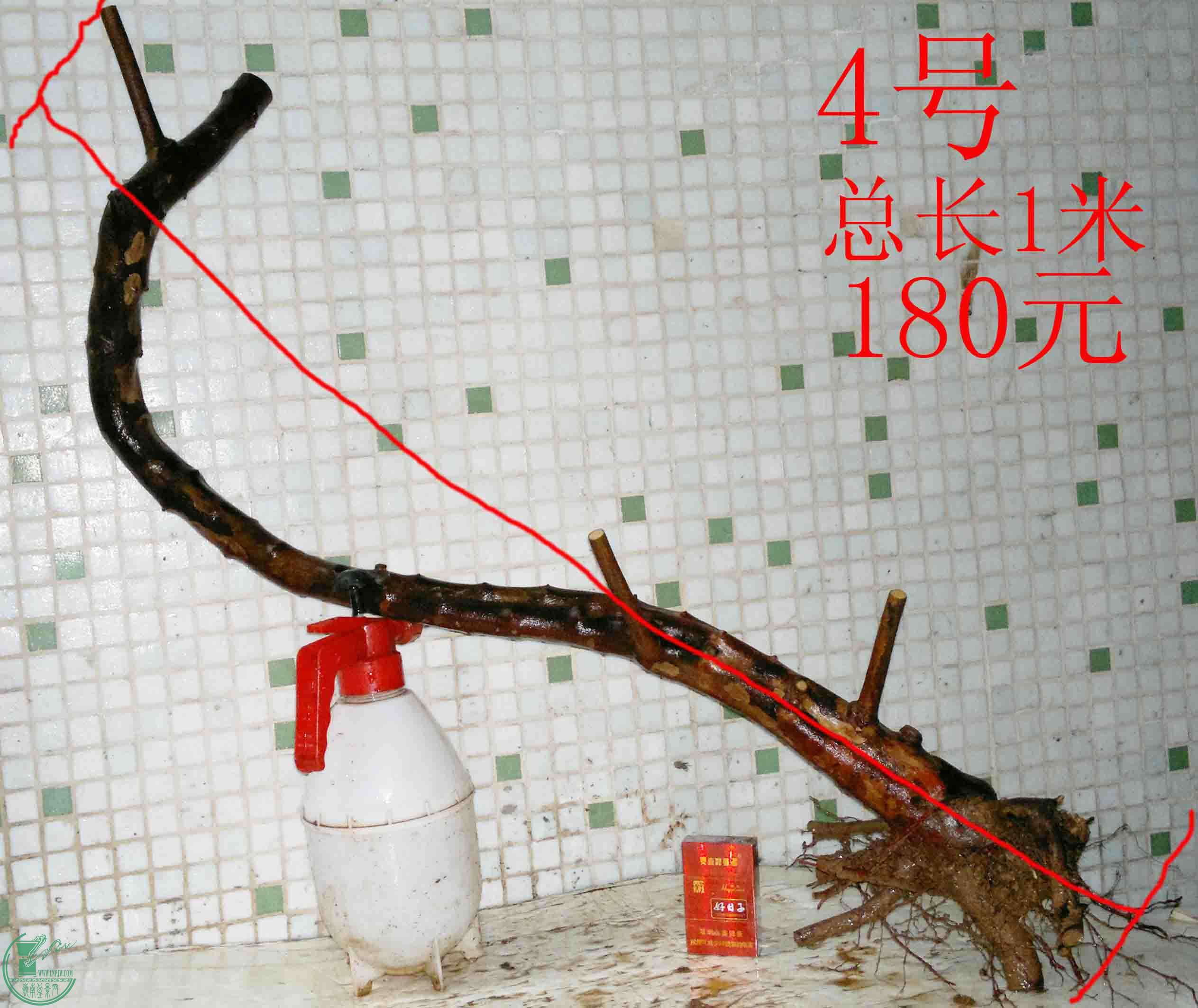 201601289039.jpg