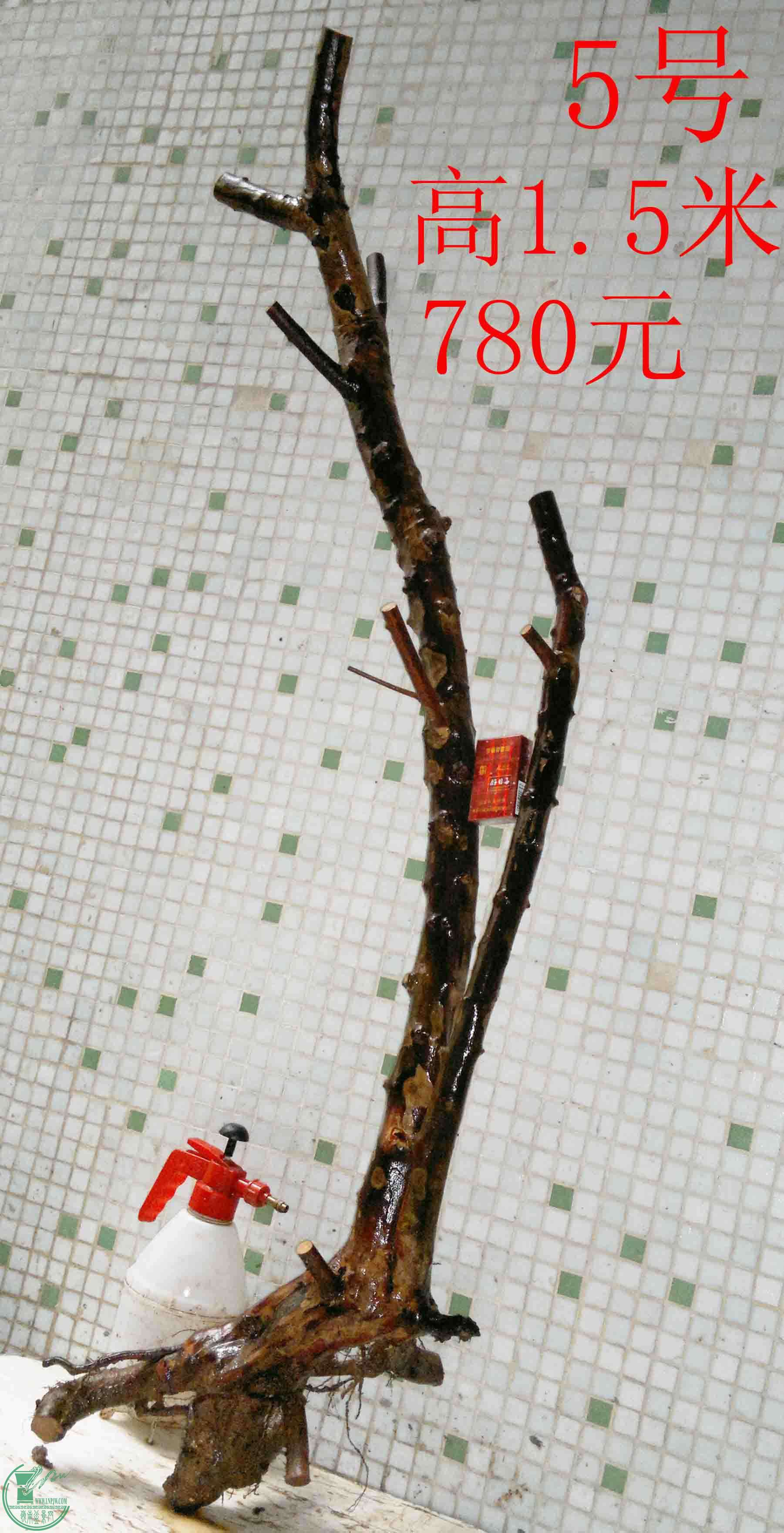 201601289080.jpg