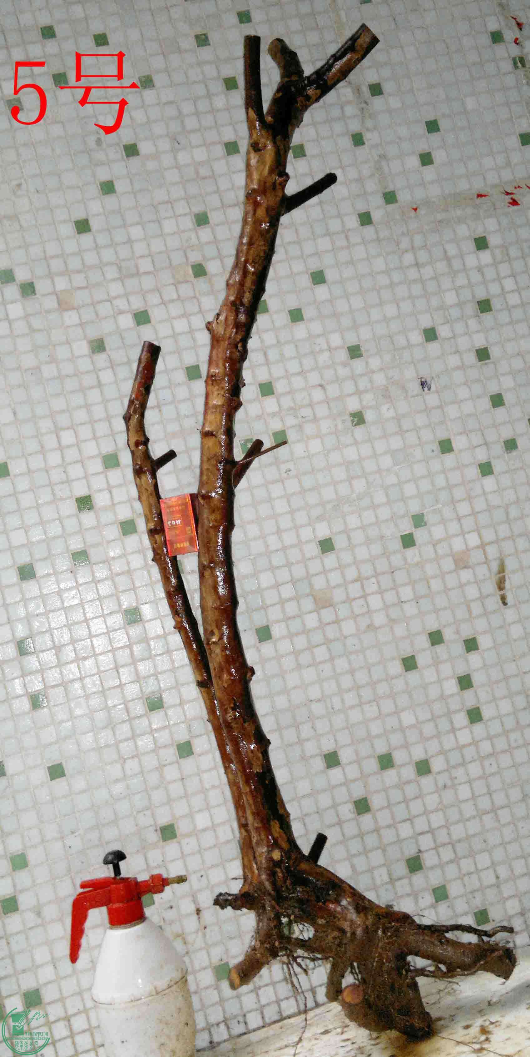 201601289104.jpg