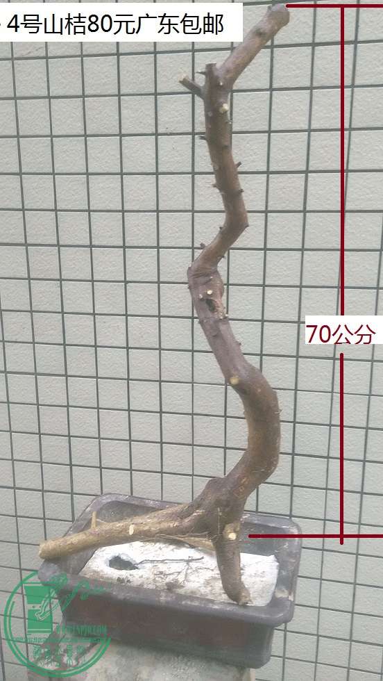 QQͼƬ20160128164419.jpg