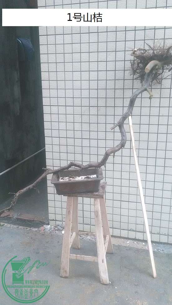QQͼƬ20160128164151.jpg