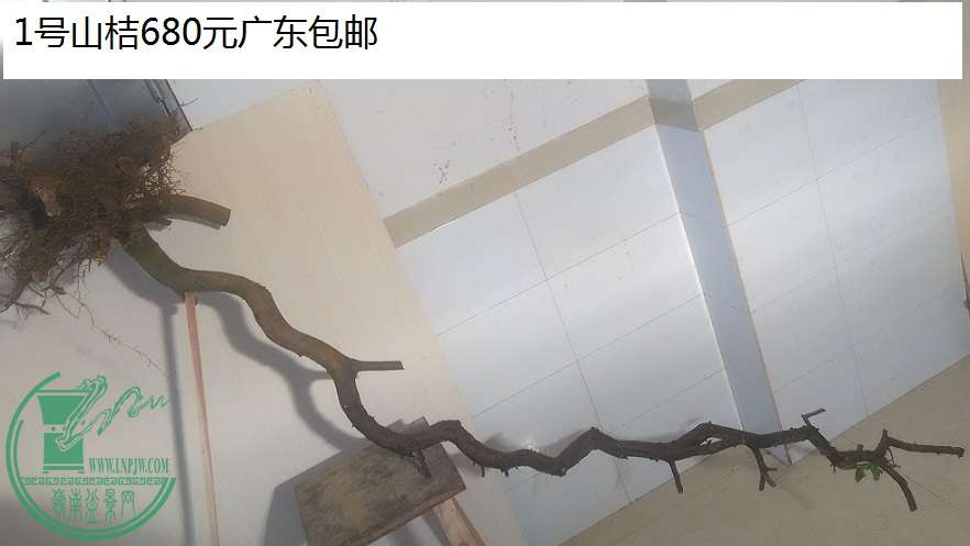QQͼƬ20160128164056.jpg