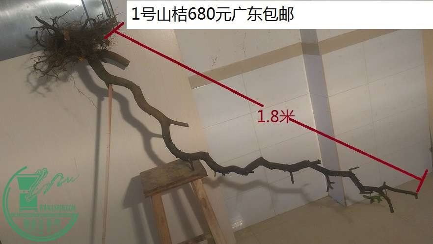 QQͼƬ20160128164119.jpg