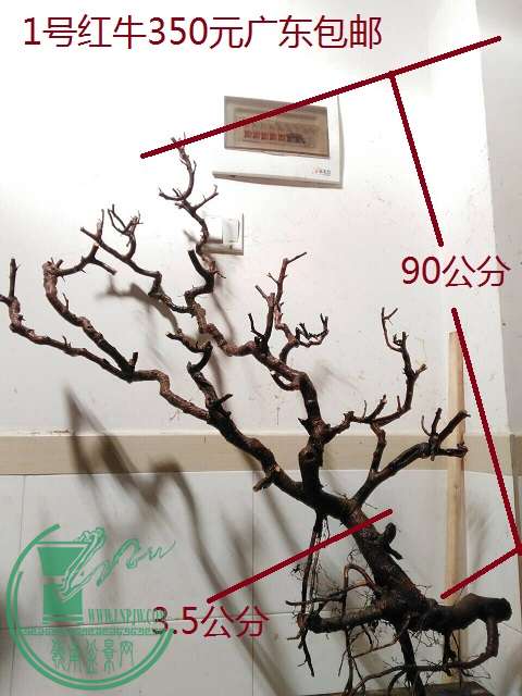 QQͼƬ20160129211847.jpg
